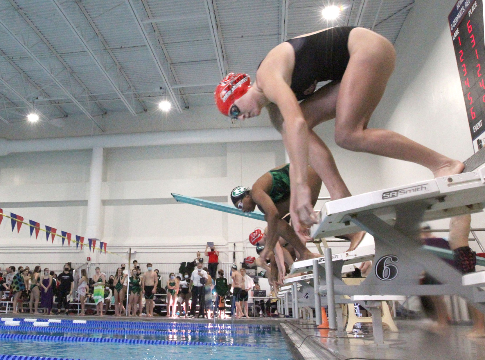 Ocean City Ridley Swimming